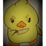 Duck Twins Group