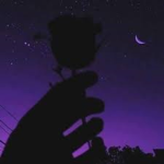<3 Broken Vibes <3