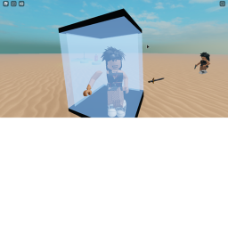 Admin and combat simulator
