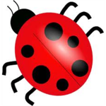 Ladybug Group
