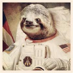 the academy of sloths