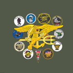 Unitеd States Navy SEALS