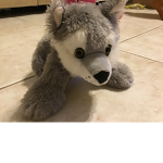 Wolf girls #and #### boy