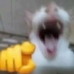 > Uncanny Clowns. Inc <