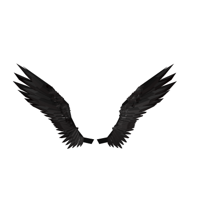 Black Feather Wings