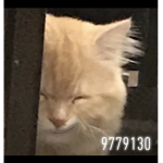 $VFS.