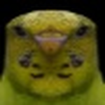Jones Bird.