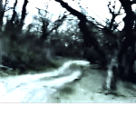 abducting