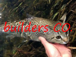 builders n CO.