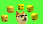 Doge rc shirt group