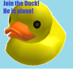 Ducky Hangout