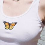 Aesthetic Butterflys