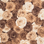 Z’s rose field