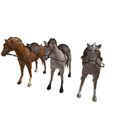 Horse