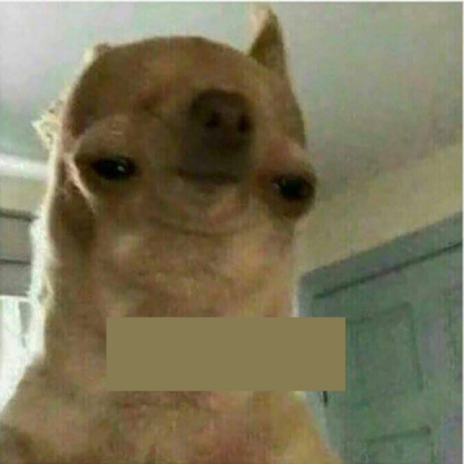 dog Roblox decal