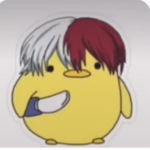 aestetic Todoroki