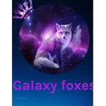 Galaxy foxes studio