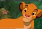 The_ Simba’s
