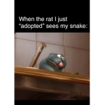 F N F uwu