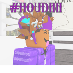 #Houd1ni