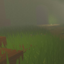 The Forest