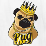 I didint choose the pug life.....well i did