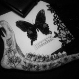 ༊୨♱୧༊