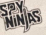 Spy Ninja kick bump
