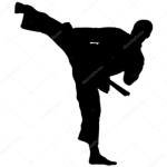 High kick karate
