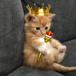 town_sendo Royal