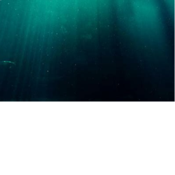 Thalassophobia