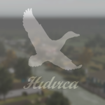 Hıdırca