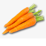 Carroted Studios