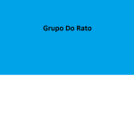 grupos dos ratos