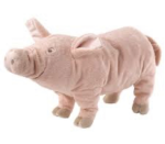 Piggyinc