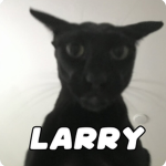 larrrys and sors shirt sto