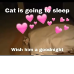 87878787888788787878788877877877788887787777877778