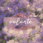 volontè