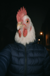 Nicjzgzgfuzgiug65fizgi5c