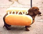 - ᴋʏʟɪᴇ -