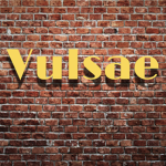 Vulsae