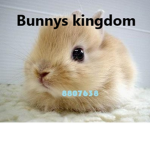 Bunnys kingdom