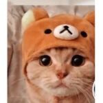 XxkittyxgabxX