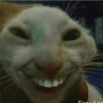 !بنات بس