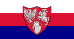 Polish Lithuanian Rebellion