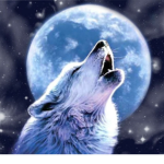 Lone Wolf Gang
