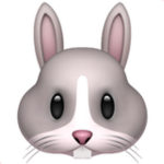 Benny’s Bunny’s
