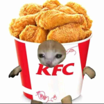 Kool-Freaking-Cat