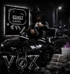 VØX | violence over X