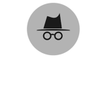 Team Incognito